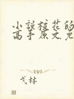 小说校花的贴身高手原文免费阅读