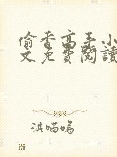 偷香高手小说全文免费阅读