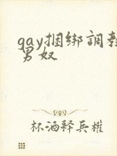 gay捆绑调教男奴