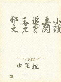 邪王追妻小说全文免费阅读全文