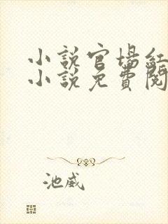 小说官场红颜的小说免费阅读