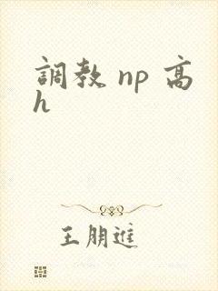 调教 np 高h