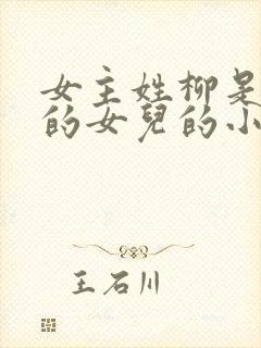 女主姓柳是丞相的女儿的小说
