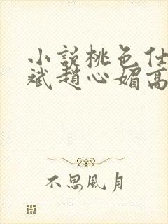 小说桃色仕途陈斌赵心媚高婉君封面