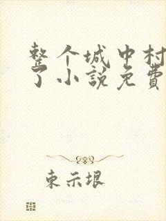 整个城中村穿越了小说免费阅读