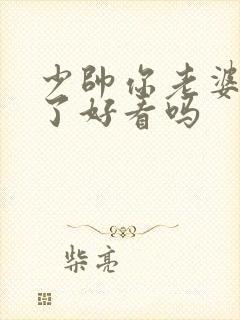 少帅你老婆又跑了好看吗封面