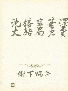 沈榕宁萧泽小说大结局免费阅读封面