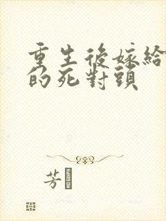 重生后嫁给了我的死对头封面