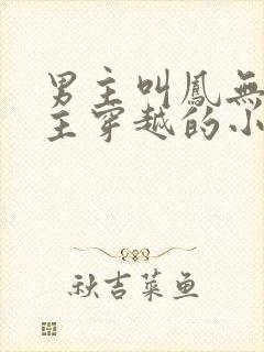 男主叫凤无殇女主穿越的小说