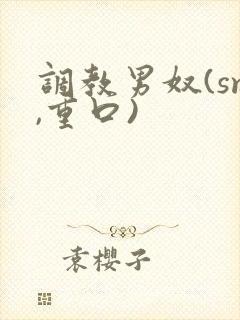 调教男奴(sm,重口)