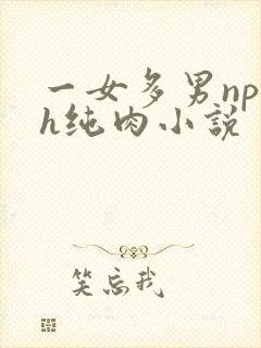 一女多男np高h纯肉小说
