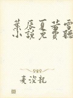 叶辰夏若雪有声小说免费听