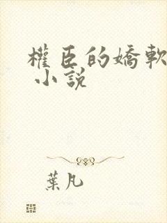 权臣的娇软美人 小说