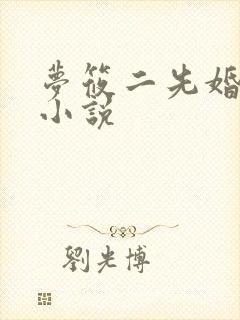 梦筱二先婚后爱小说封面