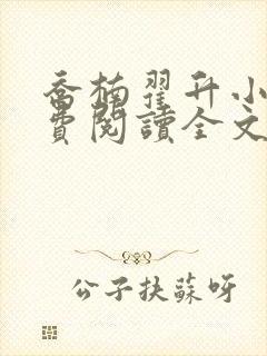 乔楠翟升小说免费阅读全文封面