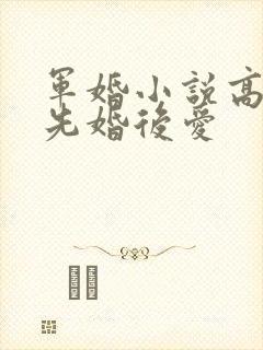 军婚小说高干文先婚后爱封面