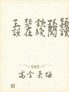 王楚钦孙颖莎小说在线阅读