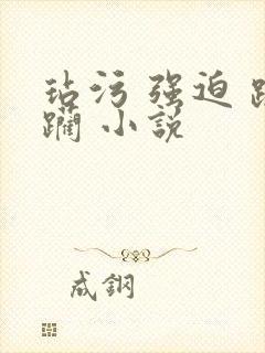 玷污 强迫 蹂躏 小说封面