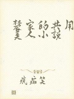 楚家的共用双性美人小说