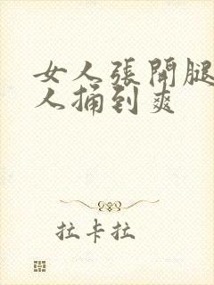 女人张开腿让男人捅到爽