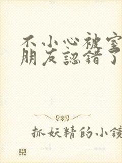 不小心被室友男朋友认错了宁笑阿温封面