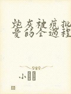 炮灰被疯批强制爱的全过程全文免费封面