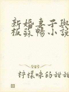 新婚妻子与菜老板苏畅小说