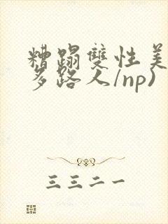 糟蹋双性美人(多路人/np)