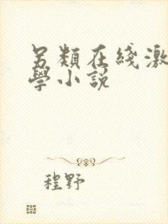 另类在线激情文学小说