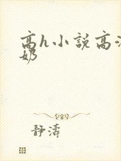 高h小说高潮产奶