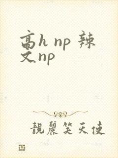 高h np 辣文np