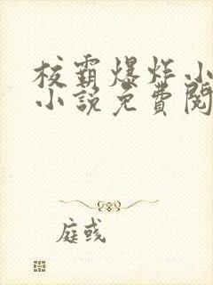 校霸爆炸小漂亮小说免费阅读