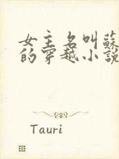 女主名叫苏小小的穿越小说