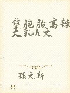 双胞胎高辣h文大乳h文