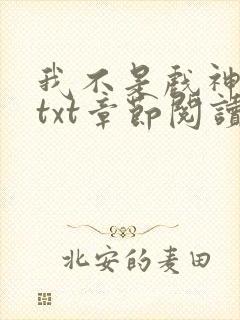 我不是戏神全文txt章节阅读