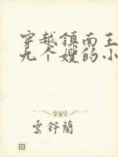 穿越镇南王世子九个嫂的小说
