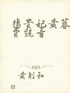 杨贵妃黄蓉版免费观看