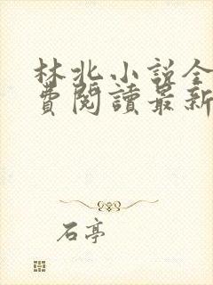 林北小说全文免费阅读最新章节