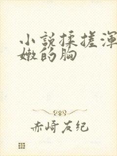 小说揉搓浑圆白嫩的胸