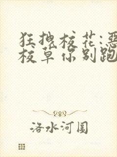 狂拽校花:恶魔校草你别跑封面