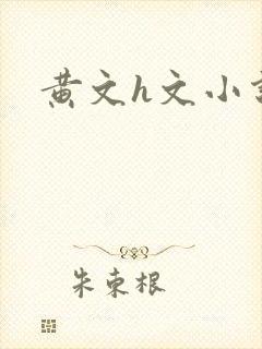 黄文h文小说