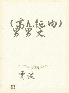 (高h,纯肉)男男文