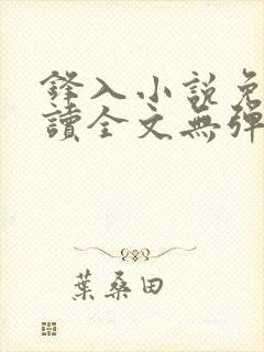 锋入小说免费阅读全文无弹窗