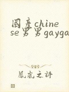 国产chinese男男gaygay网址搜索