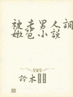 被老男人调教开嫩苞小说