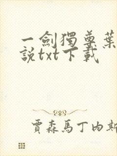 一剑独尊叶玄小说txt下载封面