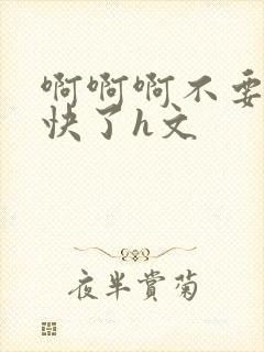 啊啊啊不要了太快了h文