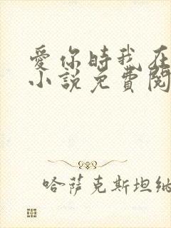 爱你时我在尘埃小说免费阅读