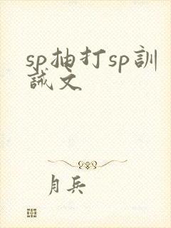 sp抽打sp训诫文封面