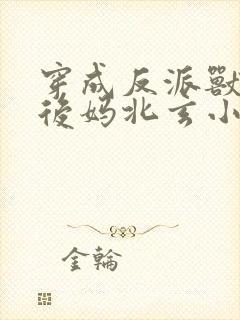 穿成反派兽人的后妈北玄小说封面